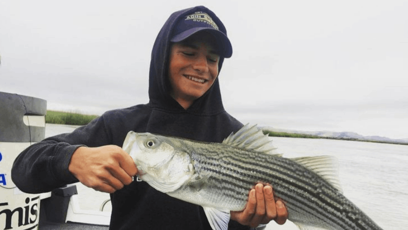 Striped bass caught in CA