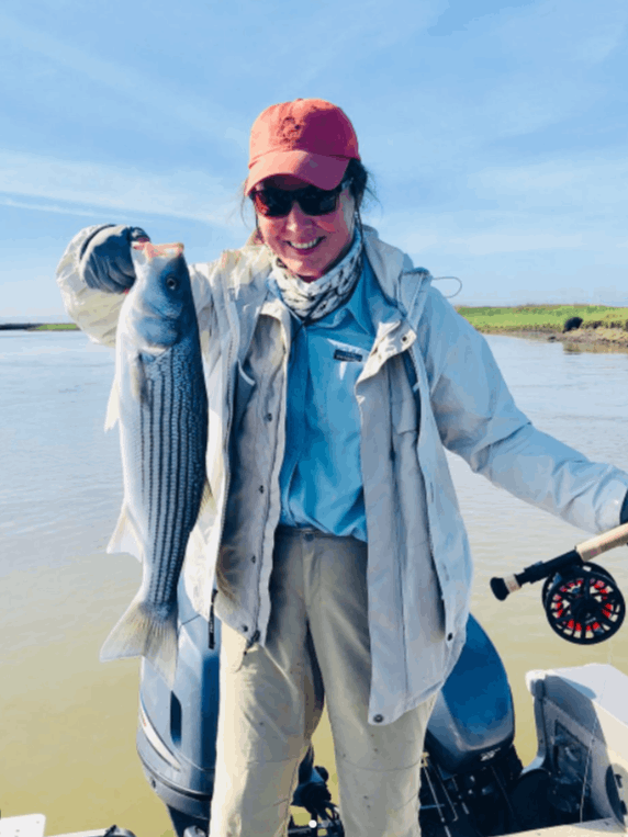 Striped bass caught in CA