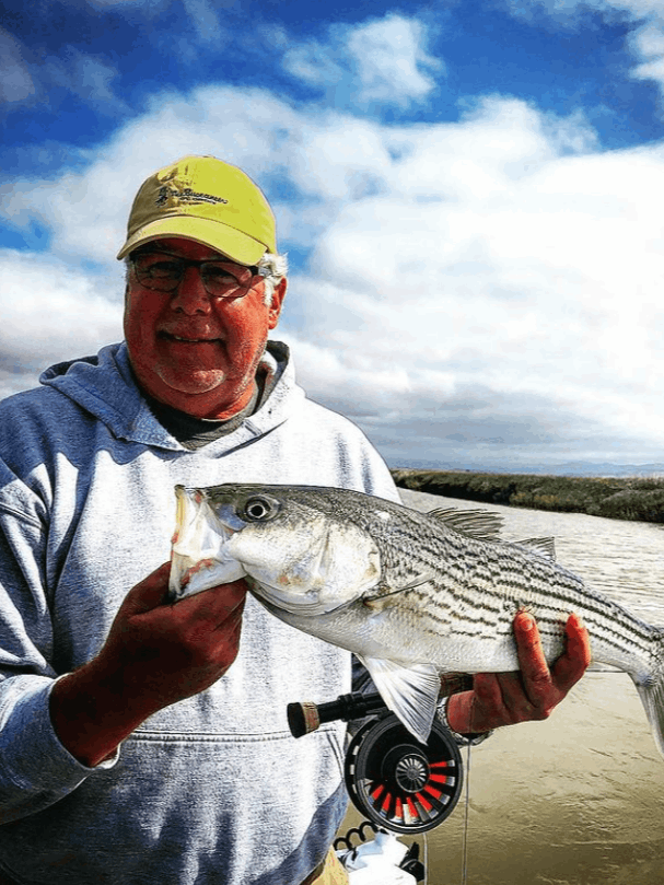 Striped bass caught in Sonoma