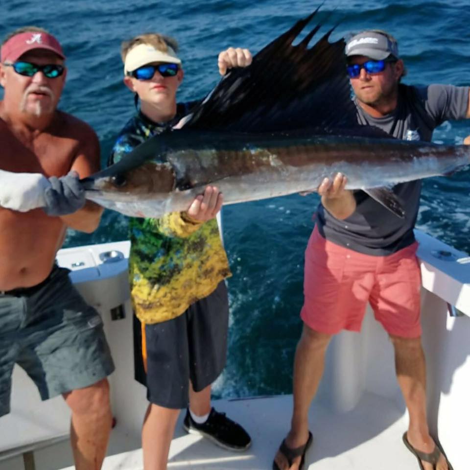 Angler with a large Atlantic sailfish caught while fishing in Orange Beach