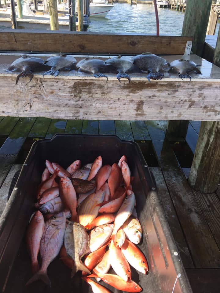 Two fish caught in Alabama while fishing