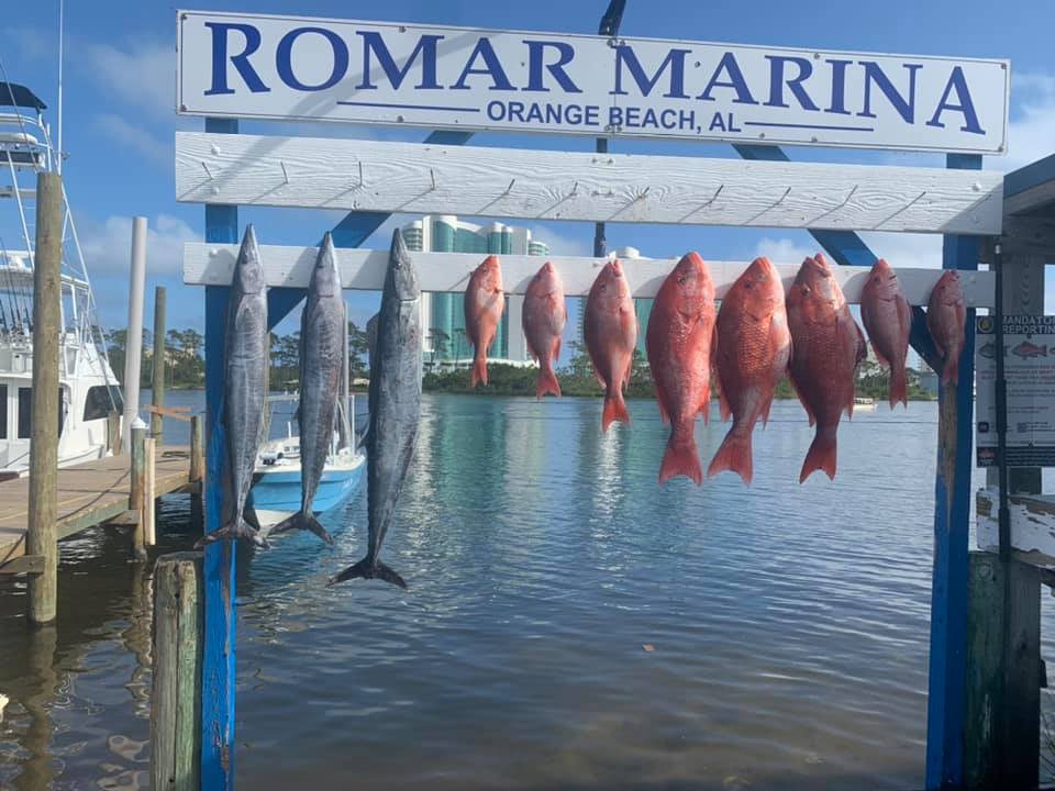 Wahoo fish caught in AL