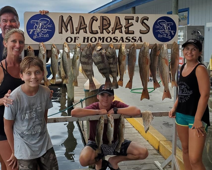 12 black drum fish caught in Homosassa