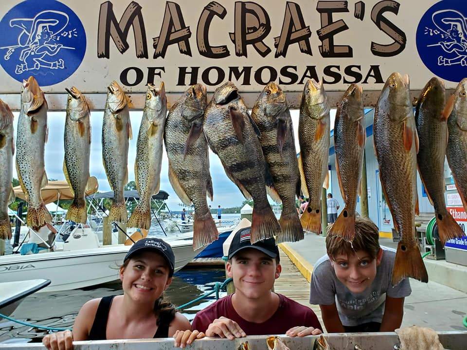 9 black drum and redfish caught in Homosassa