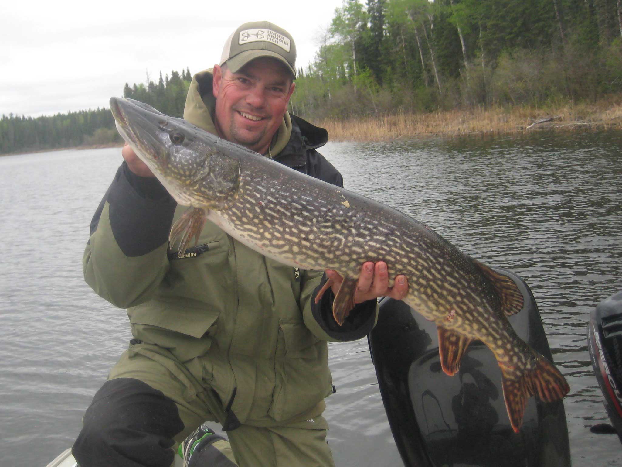 Angler catches a chain pickerel in the North Saskatchewan River