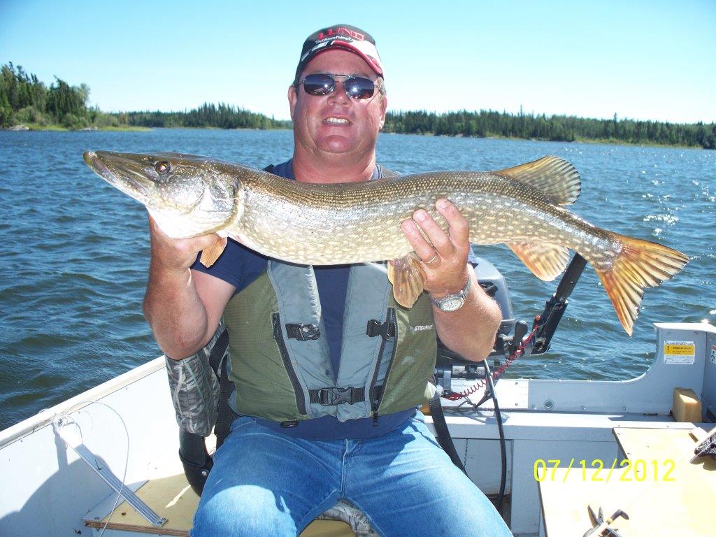 Muskellunge caught in the North Saskatchewan River