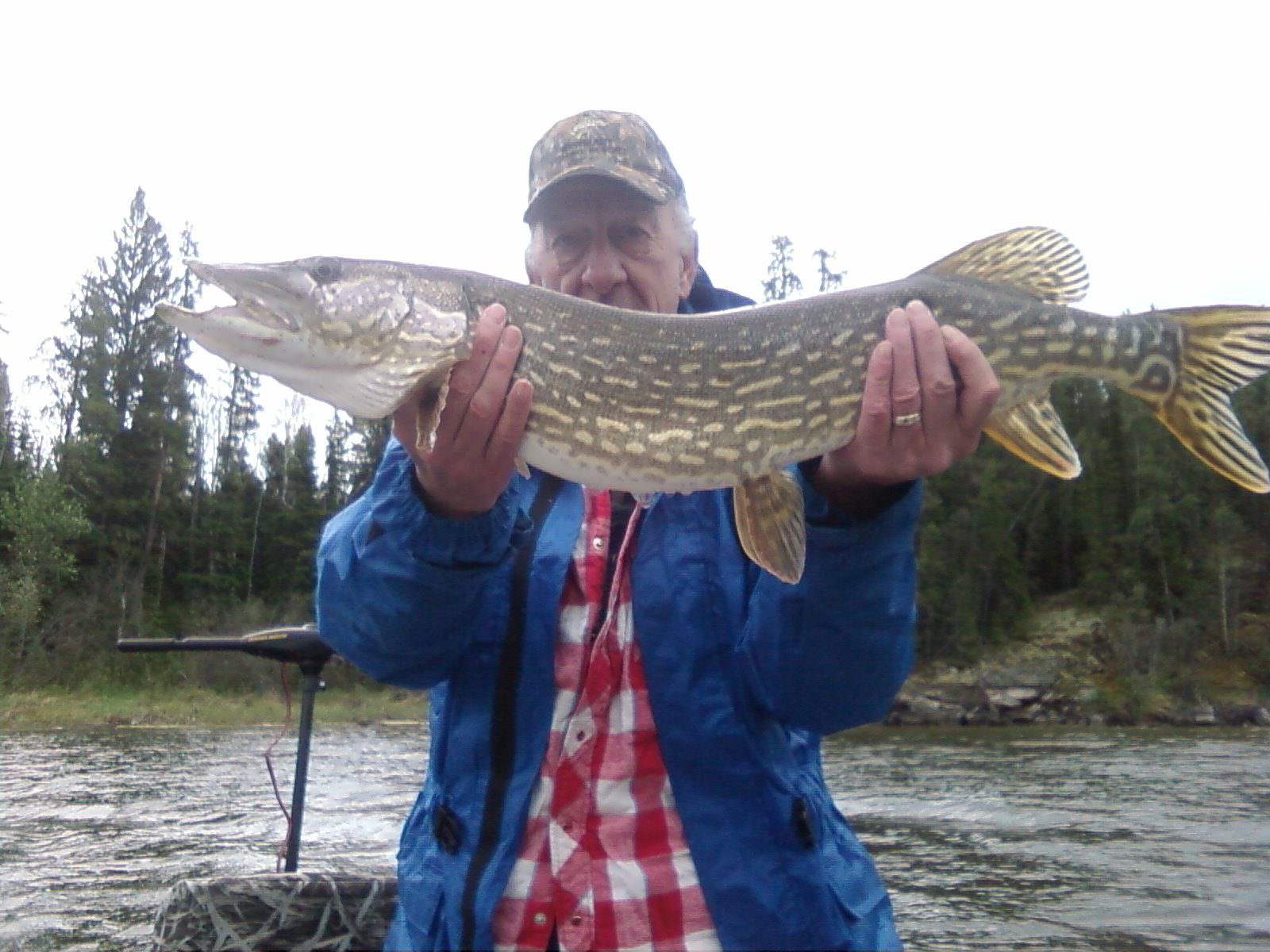 Northern Pike caught while fishing on the North Saskatchewan River