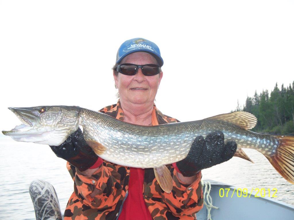 Northern Pike caught in North Saskatchewan River
