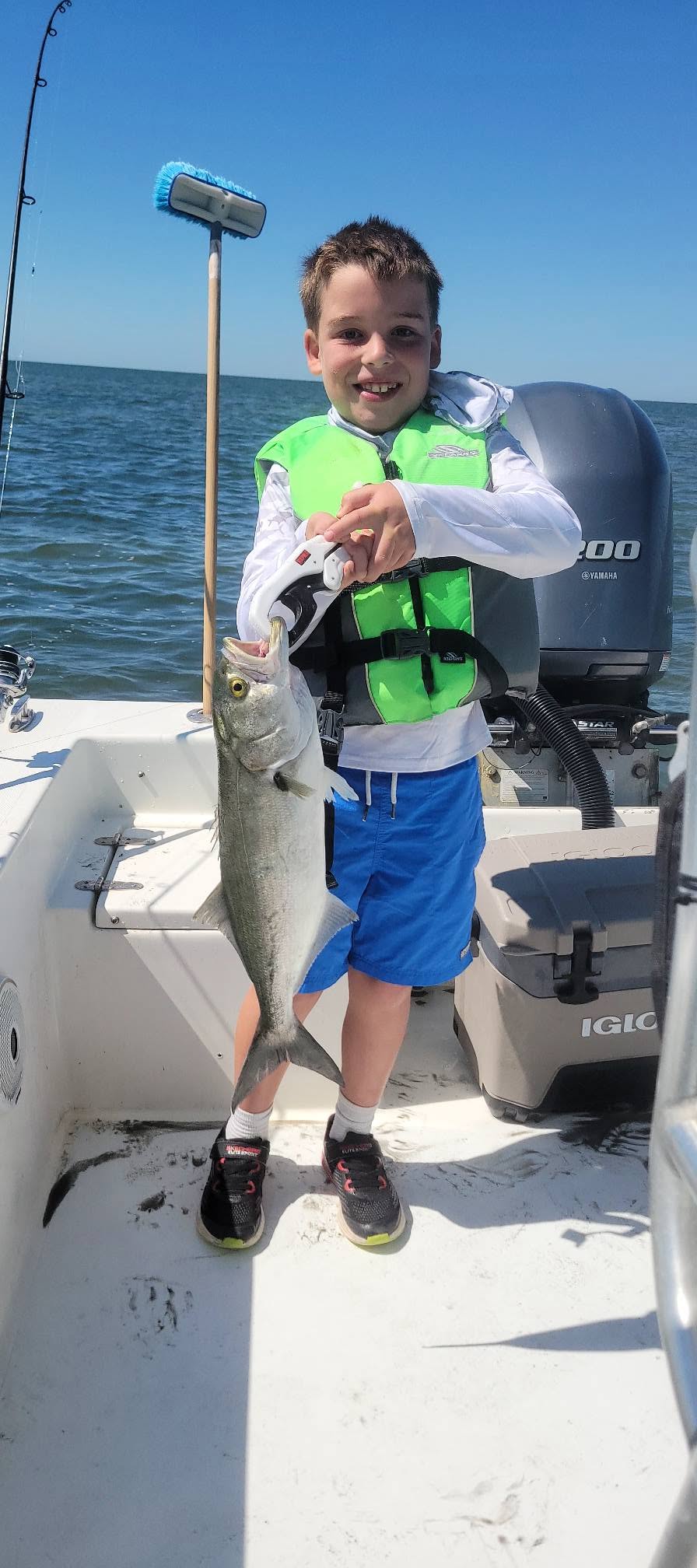 Bluefish caught during fishing charter in Wanchese NC