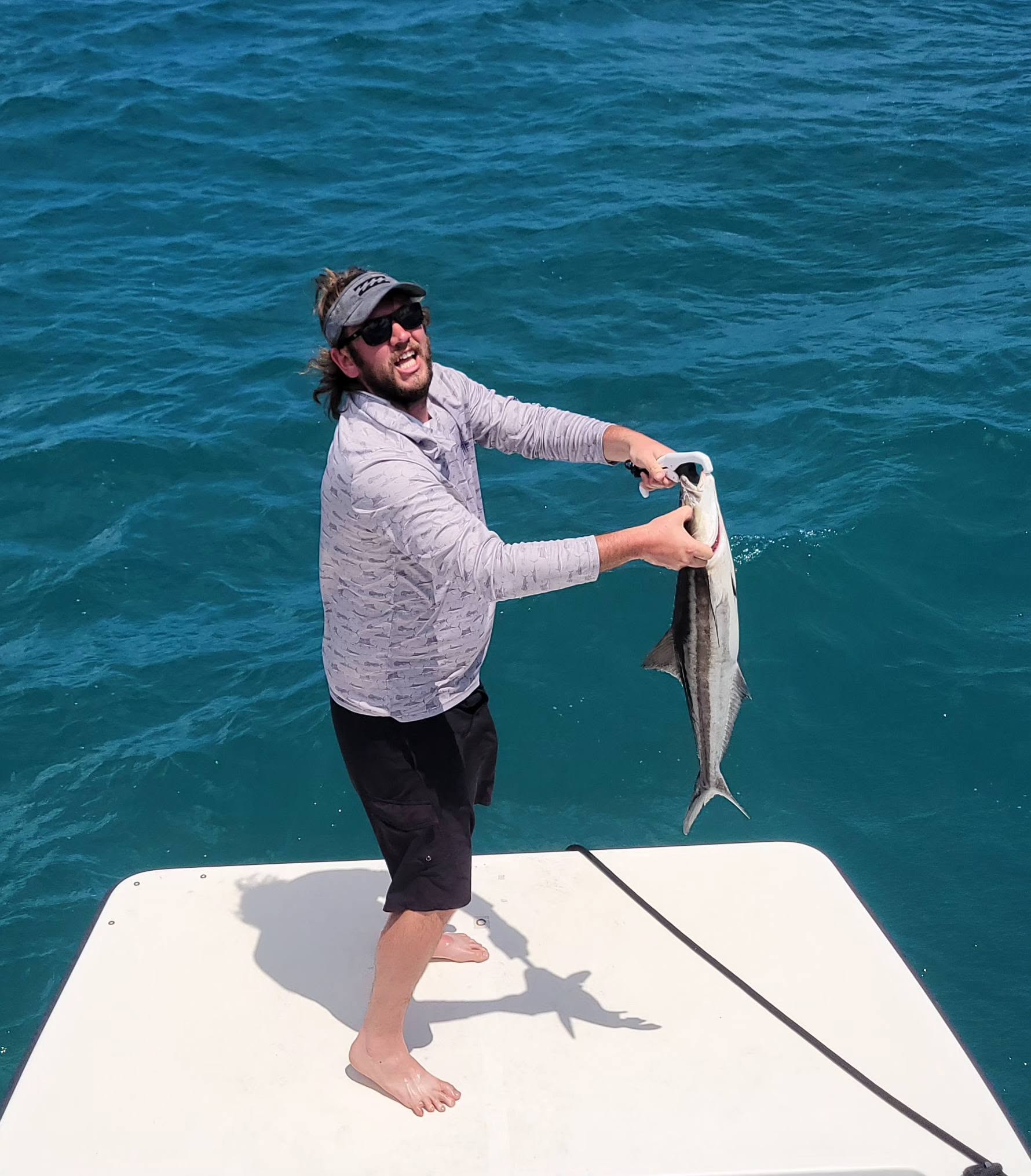 Cobia catch displayed on fishing boat in Wanchese NC waters