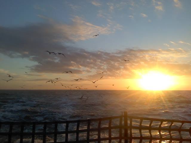 Sunset boat tour in Wanchese NC Outer Banks with orange sky reflecting on calm coastal waters