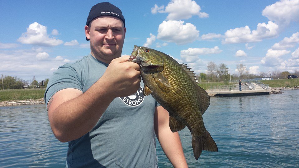 Smallmouth Bass caught in Ransomville
