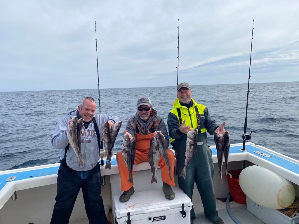 Five fish caught in Boothbay Harbor during fishing trip