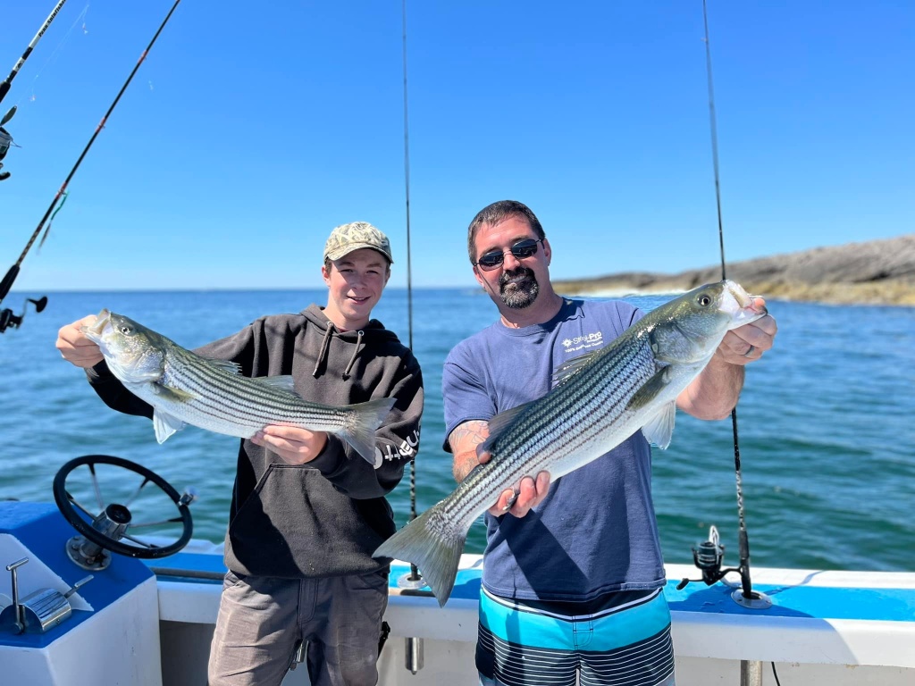2 striped bass caught in Boothbay Harbor