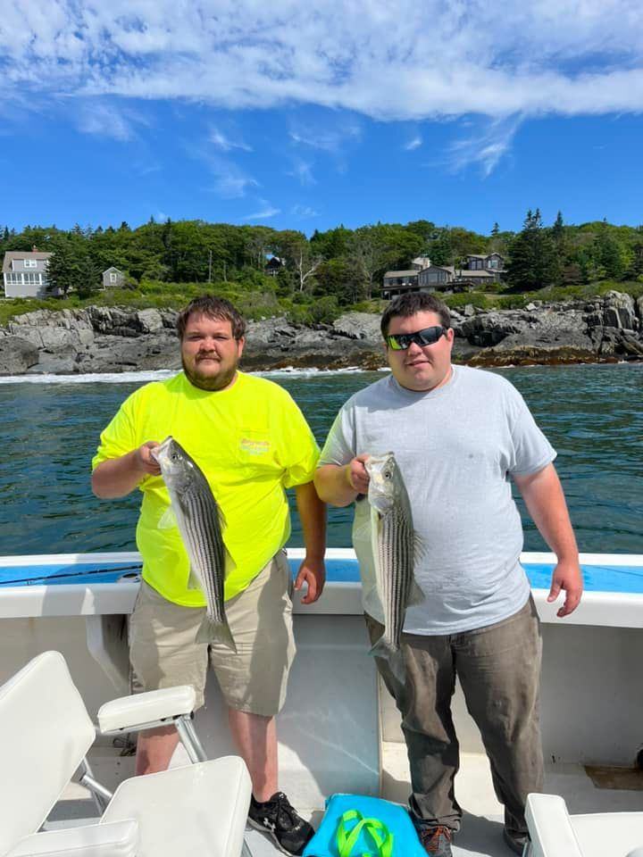 Two striped bass caught fishing in ME