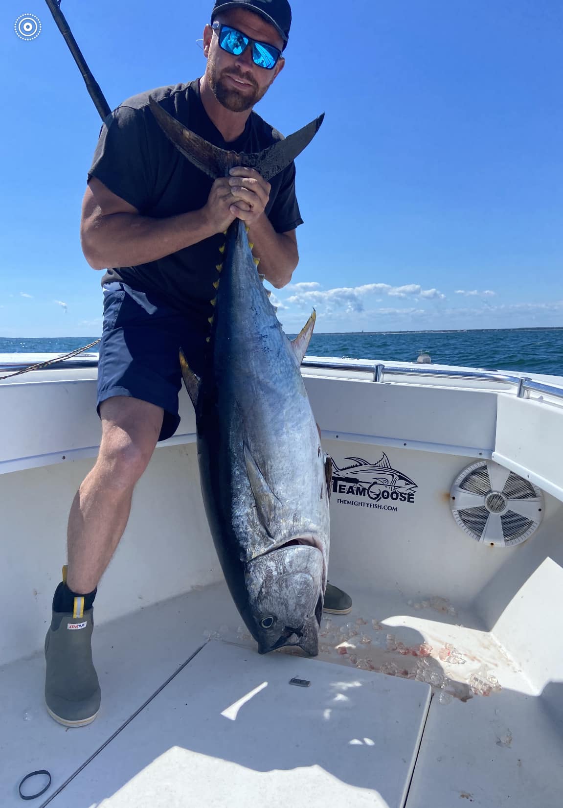 Blackfin Tuna, a big fish caught in MA