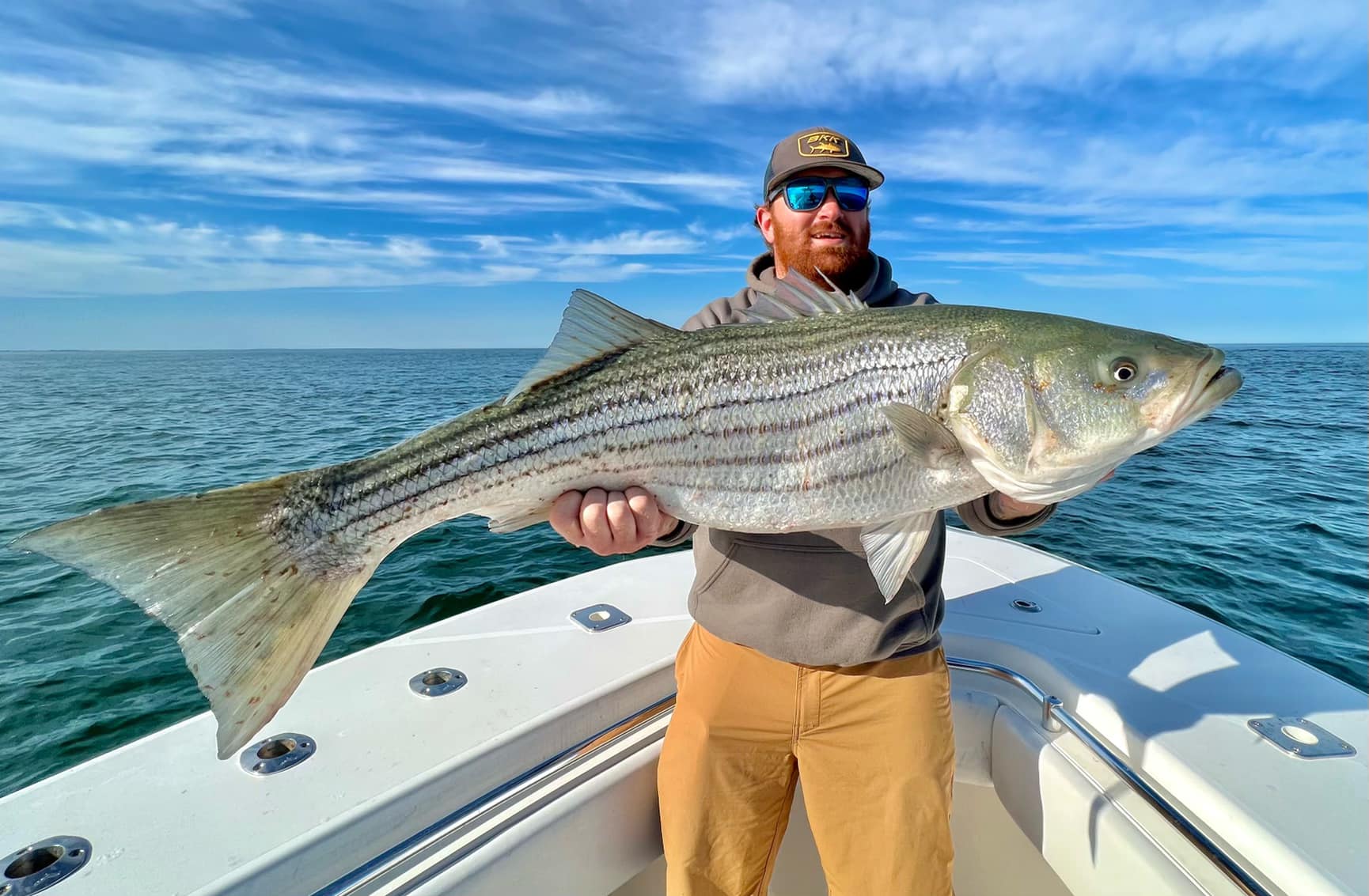 Striped bass fishing in MA