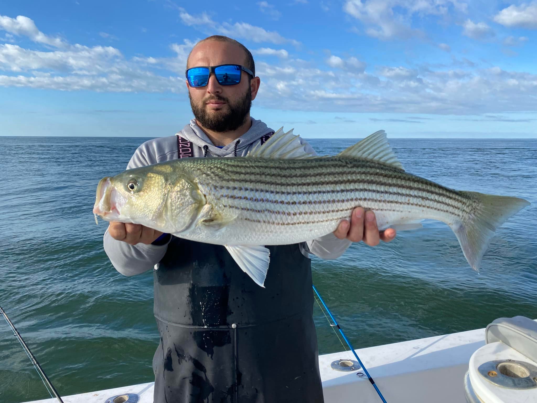 Striped bass caught while fishing in MA