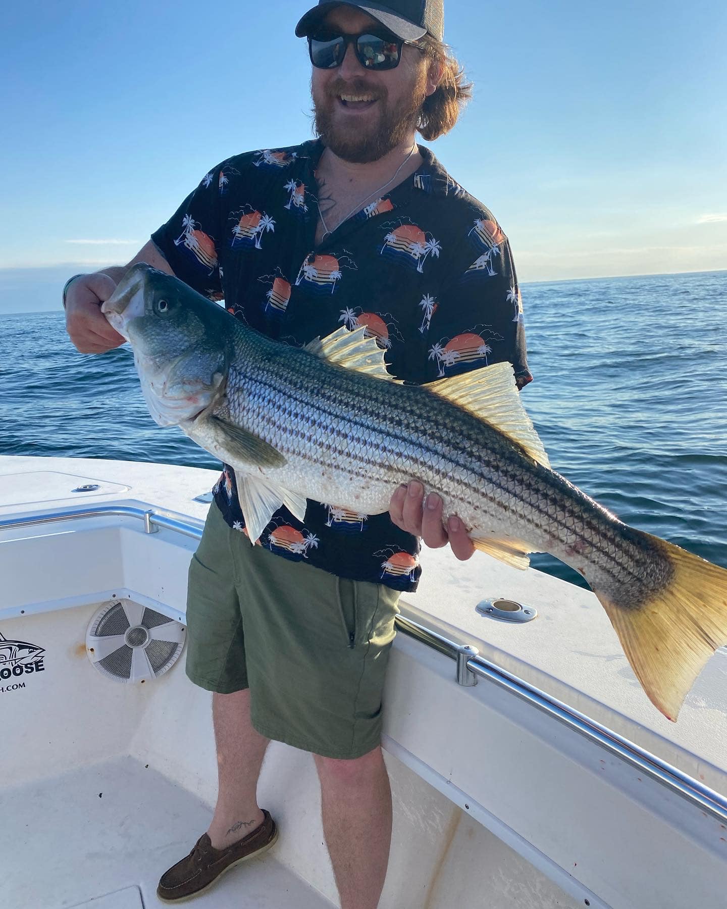 Striped bass fishing in Yarmouth