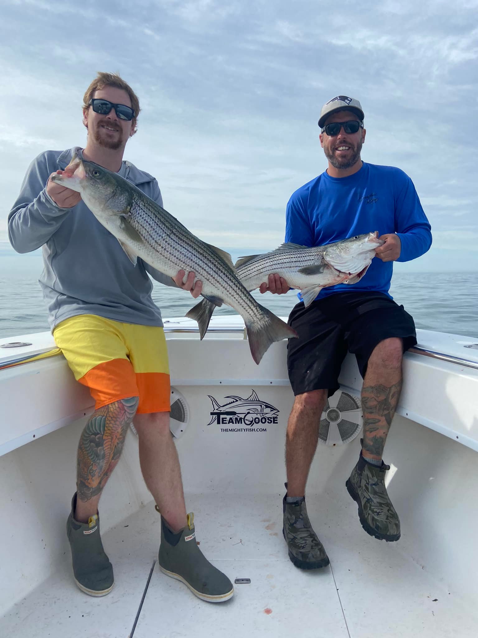 Two striped bass fish caught in Yarmouth