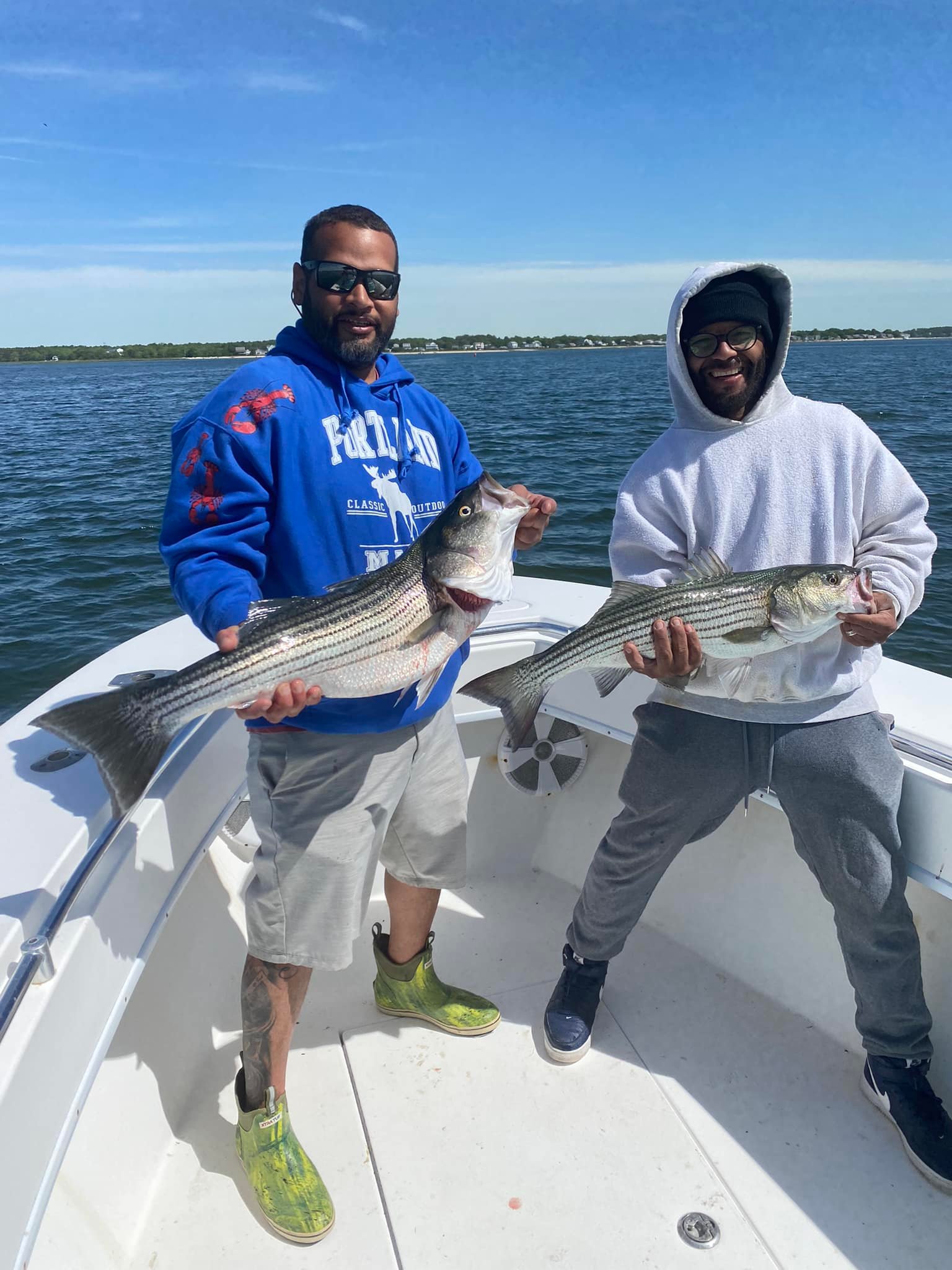 Two striped bass caught during a fishing tour in Yarmouth