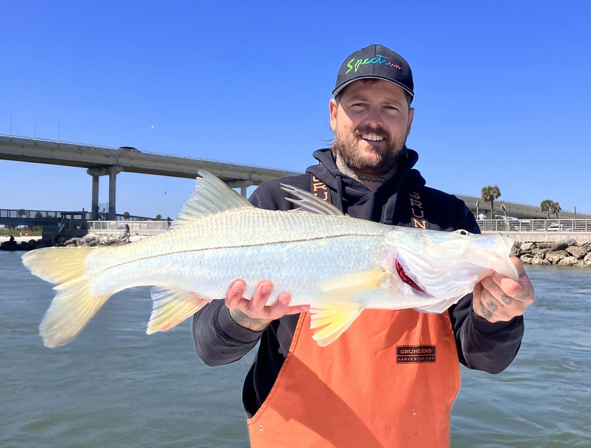 Snook fish caught in Sebastian