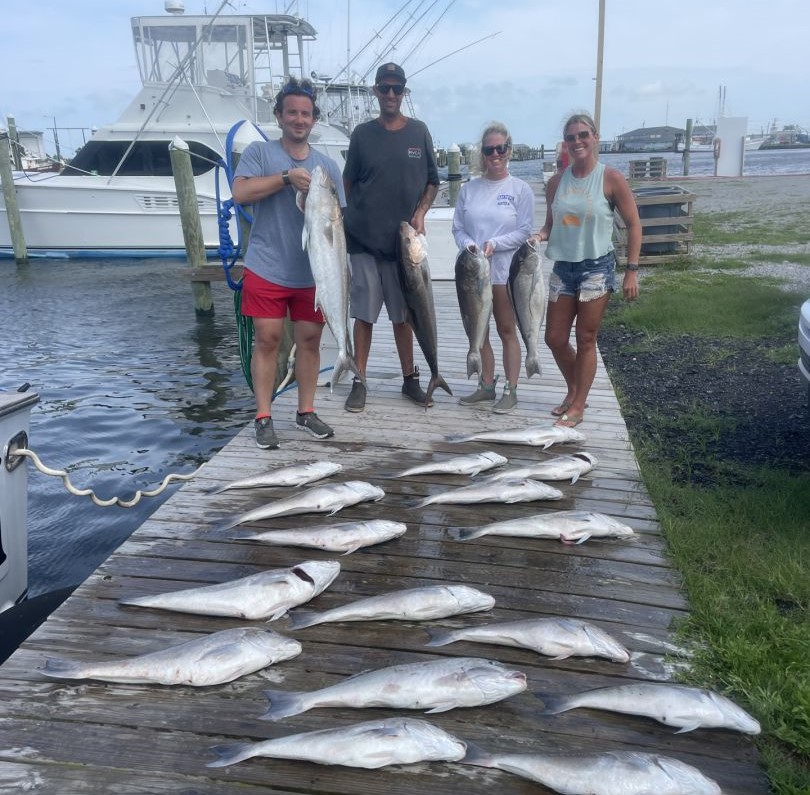 9 large black drum fish caught in NC