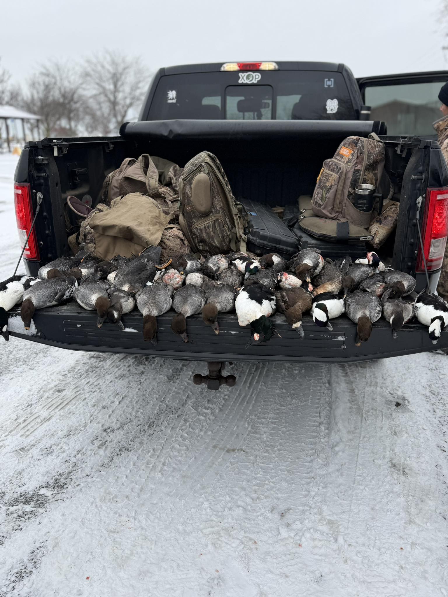 Hunting truck bed filled with harvested waterfowl and hunting gear in Port Clinton OH