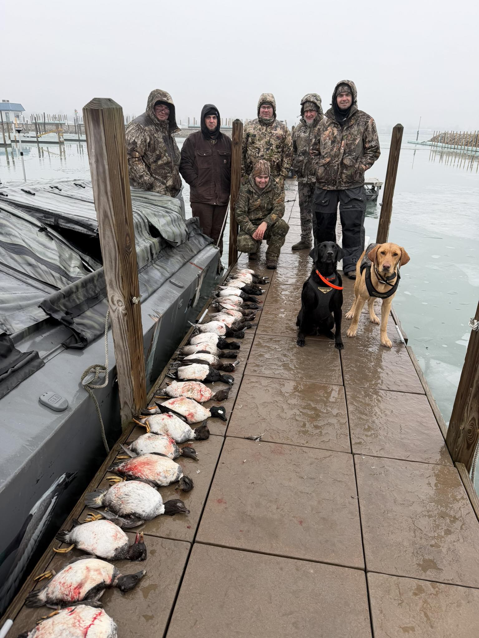 Waterfowl hunting success on dock in Port Clinton OH with retrieved ducks and hunting dogs