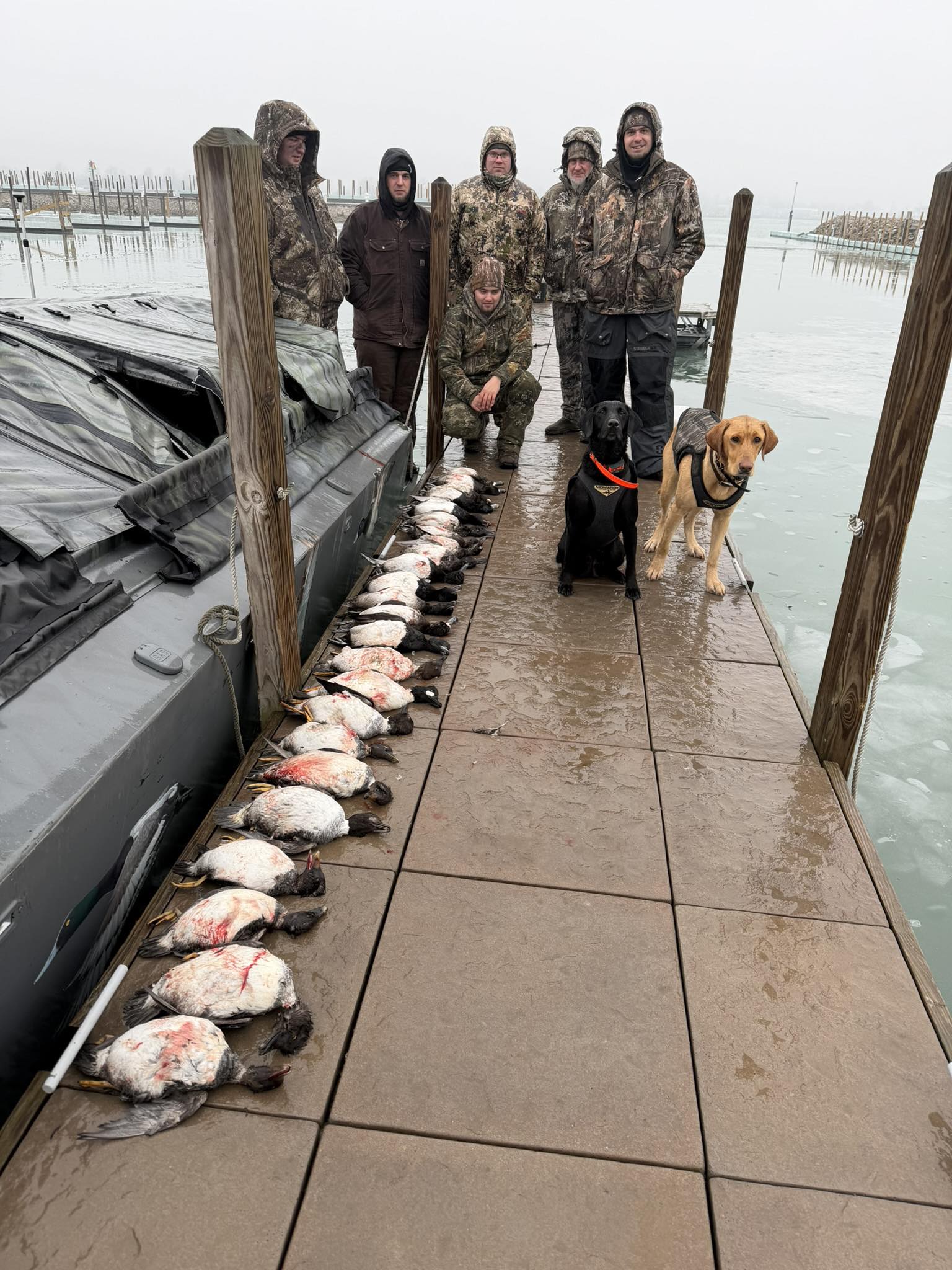 Waterfowl hunting success on wooden dock at Port Clinton OH with hunting dogs and boat