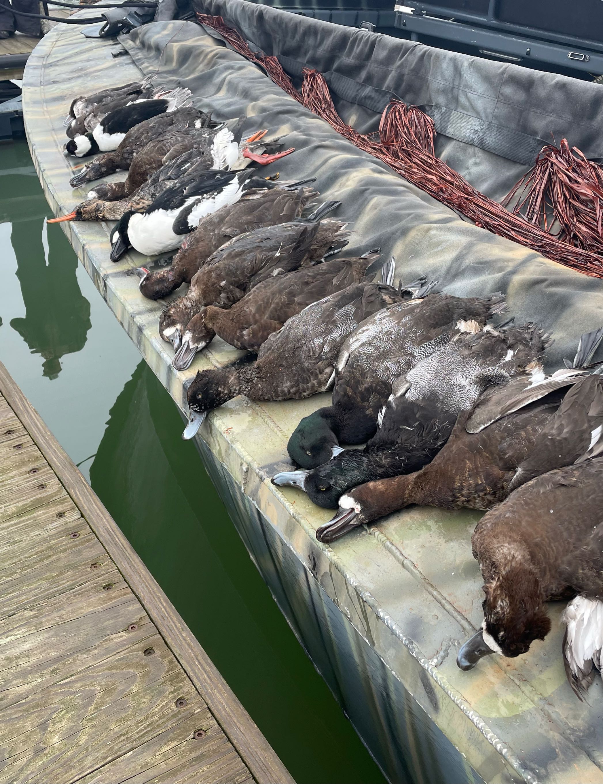 Ohio Duck Hunting Guide Prices Lake Erie Fishing Charters Rates