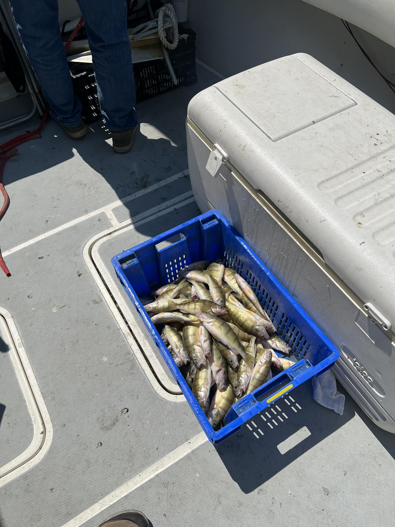 Fishing at Port Clinton