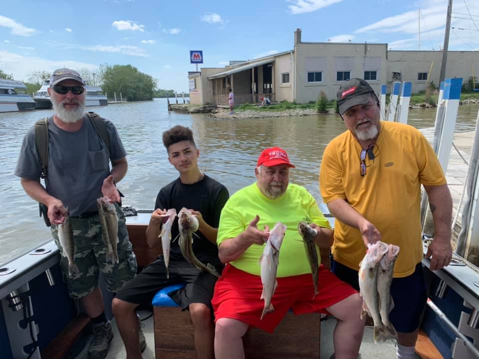 5 sauger fish caught in OH