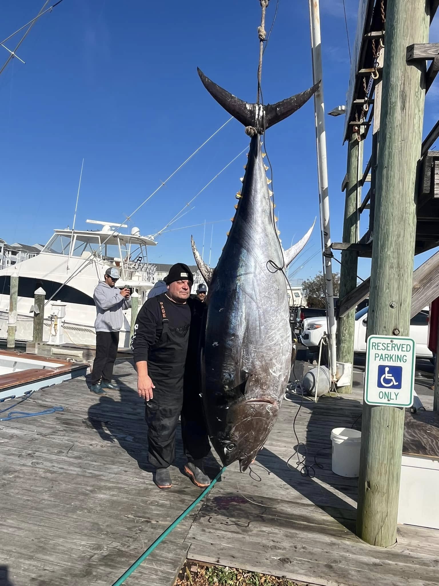 Large bluefin tuna hanging at fishing dock in Manteo NC