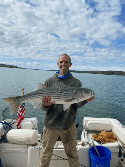 Striped bass caught fishing in Maine