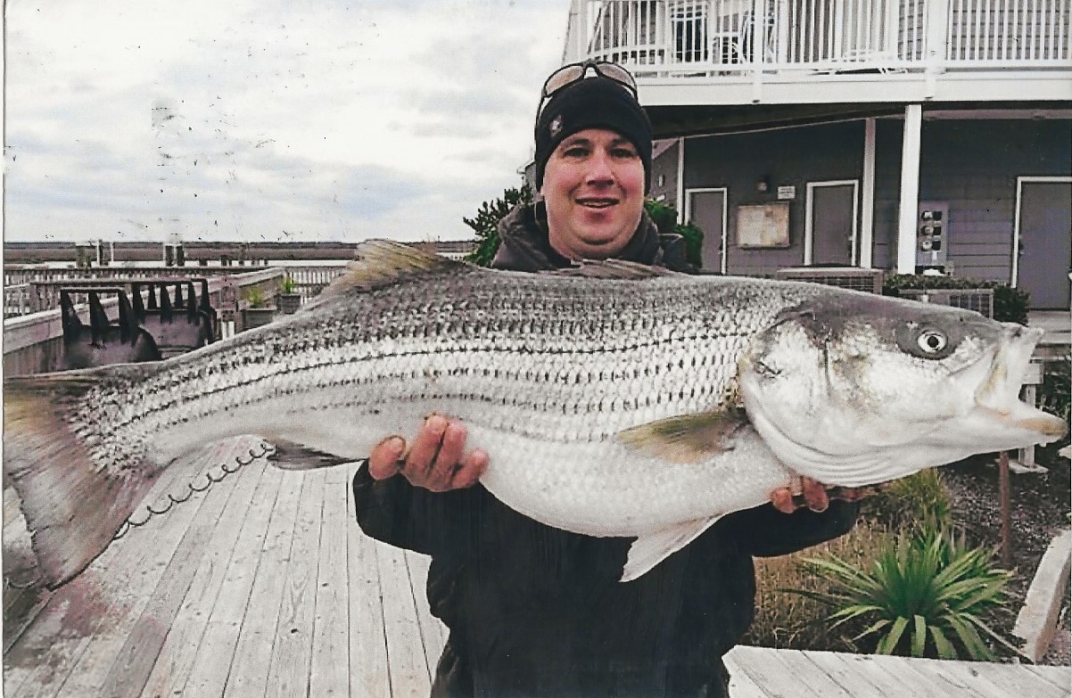 Striped bass caught fishing in NJ