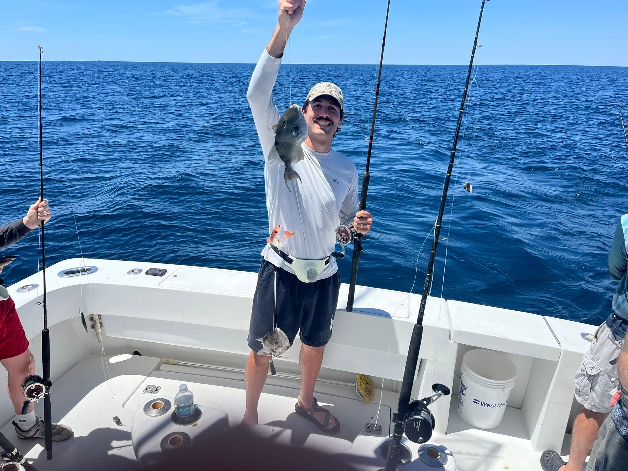 Grey triggerfish catch on fishing boat in Destin FL waters