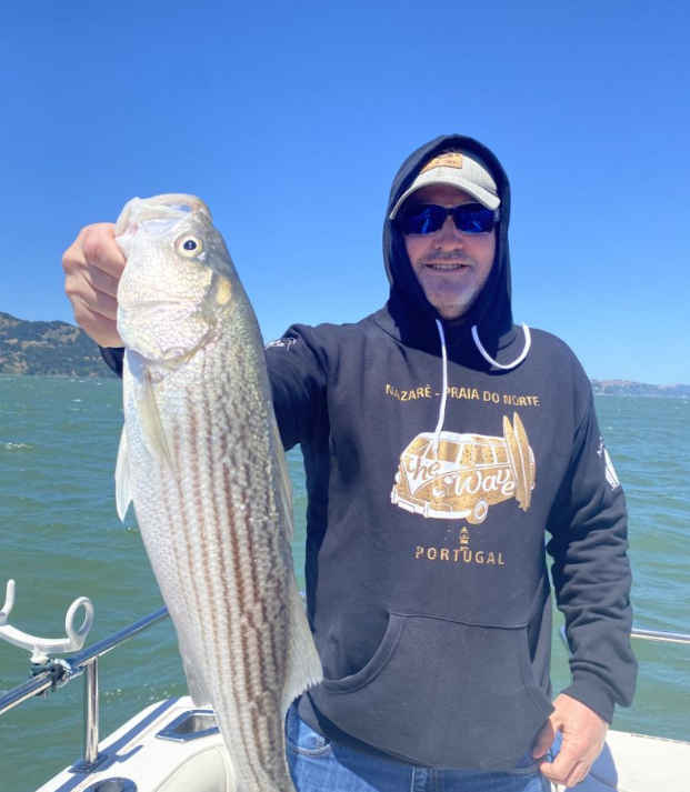 Striped bass caught in CA