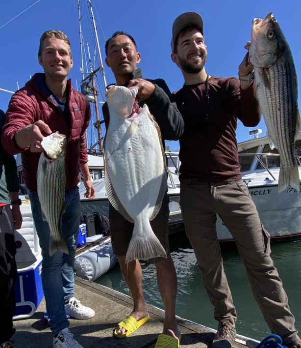 3 striped bass fish caught in CA
