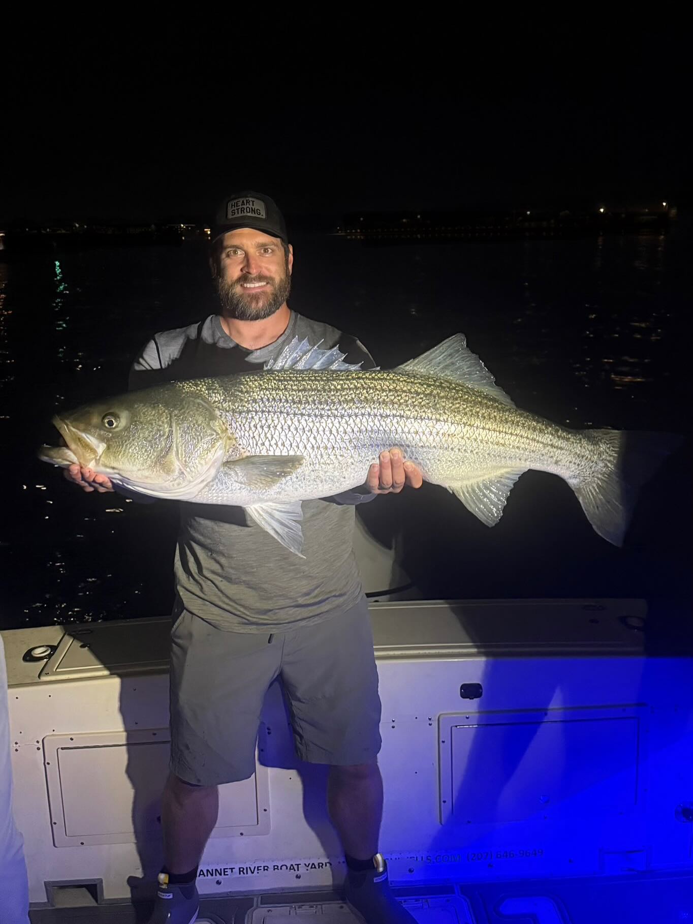Large striped bass caught while fishing in Wells ME at night