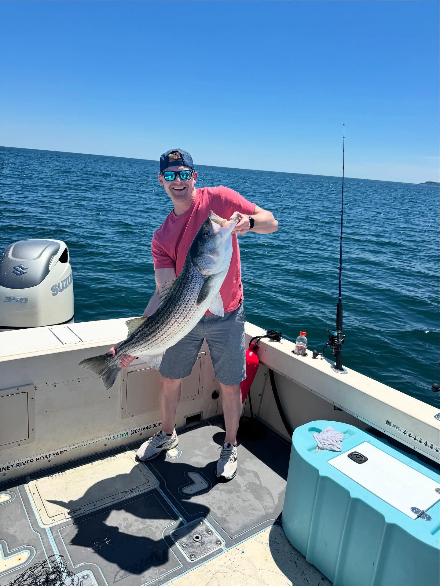 Striped bass catch on fishing boat in Wells ME waters