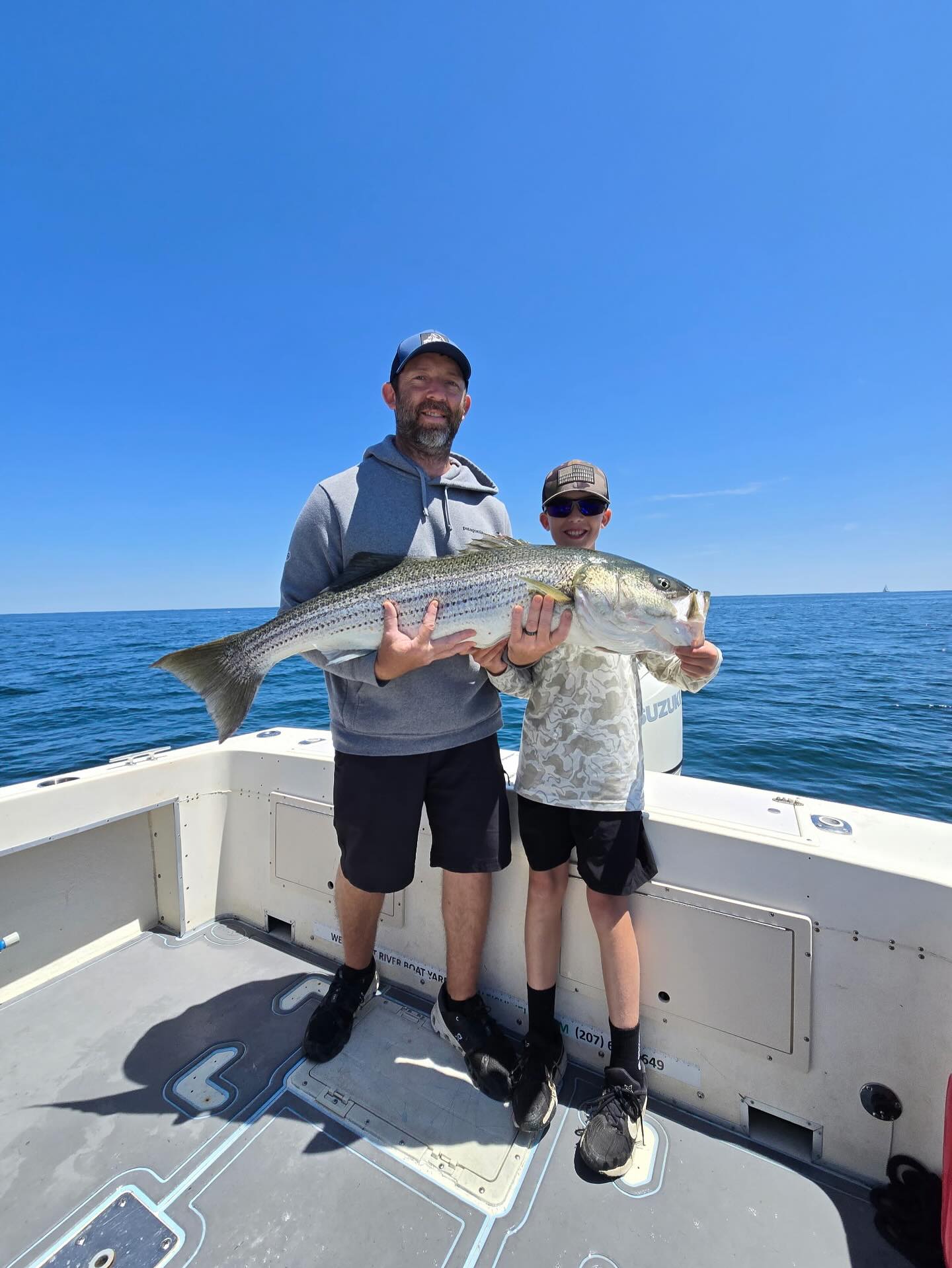 Striped bass catch displayed on fishing boat in Wells ME