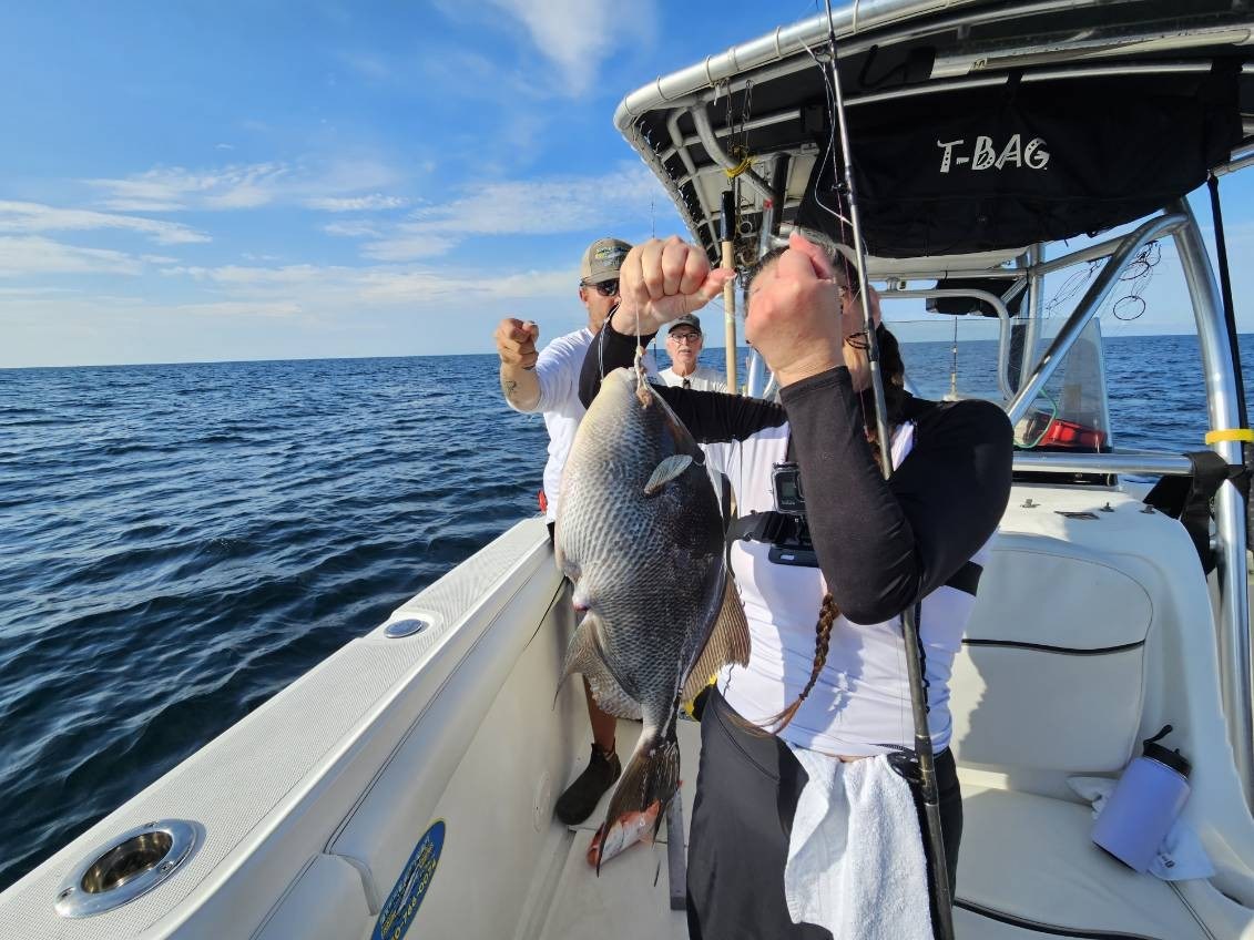 Image of a grey triggerfish caught on a fishing trip in Mississippi