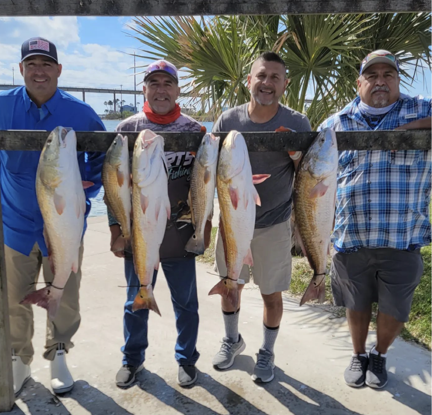 4 big fish caught during fishing in Port Aransas
