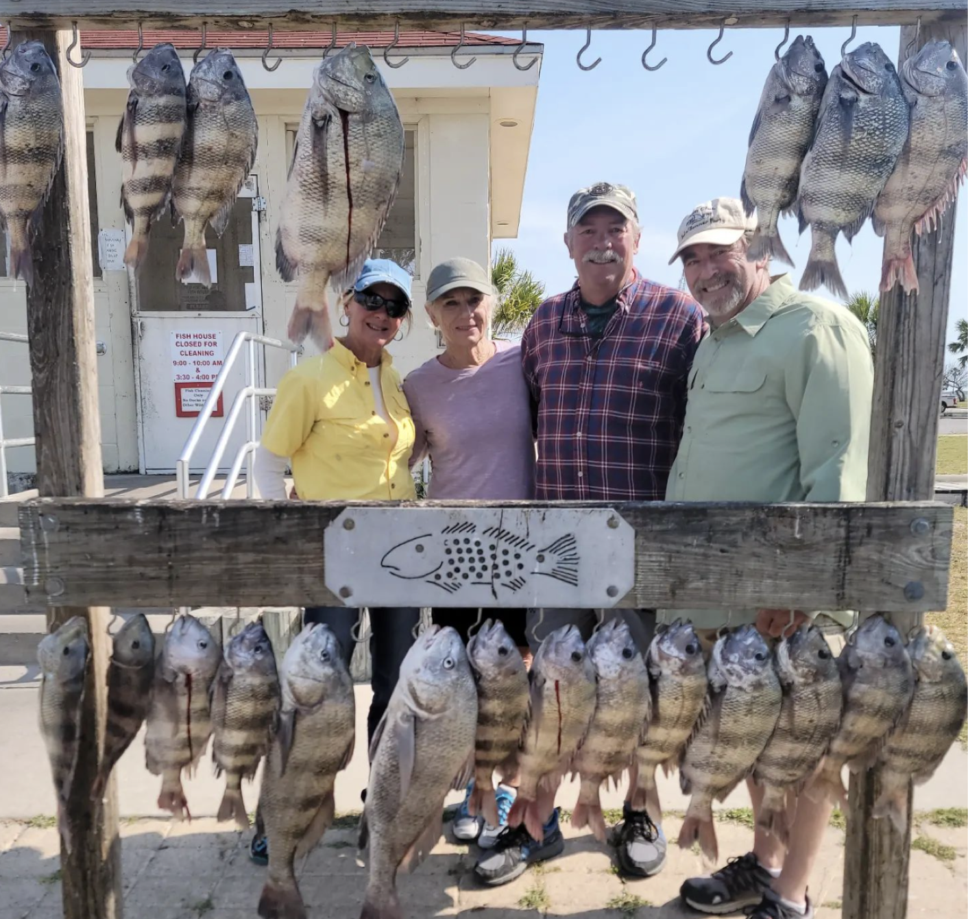 13 black drum, sheepshead fish caught in TX
