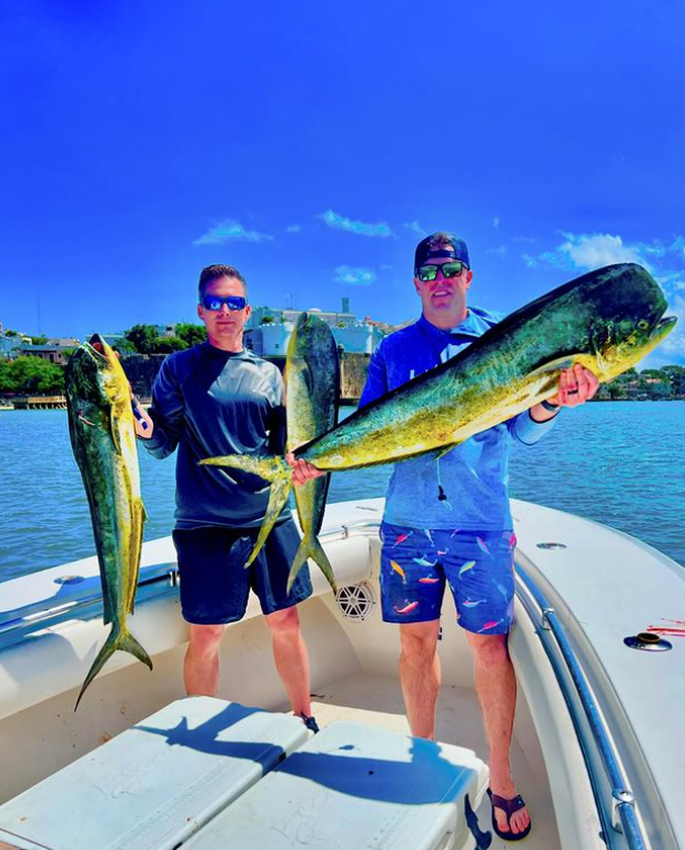 Two big mahi mahi or common dolphinfish caught during a fishing cruise in San Juan