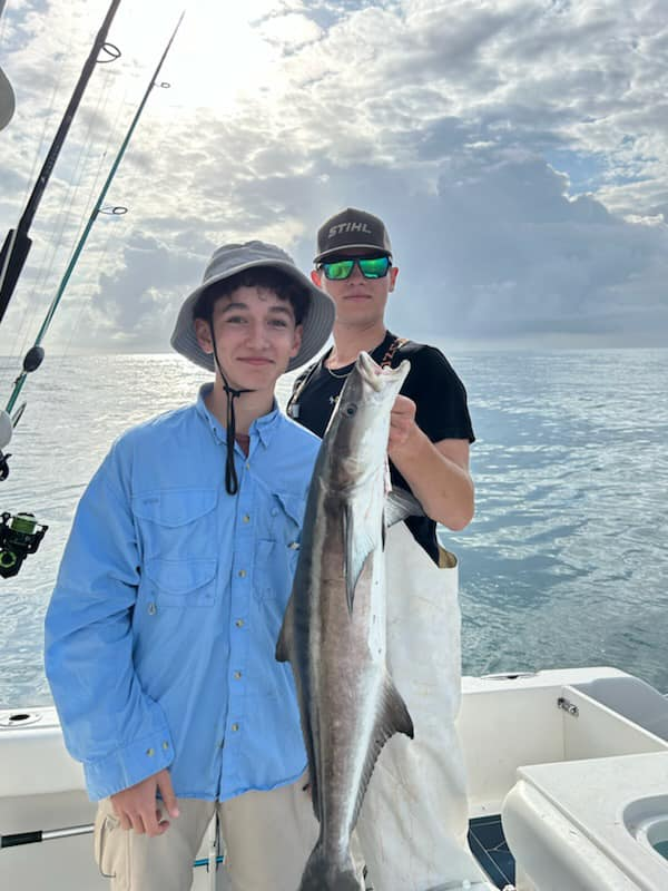 A single bluefish, 26 inches long, caught while fishing at Port Canaveral