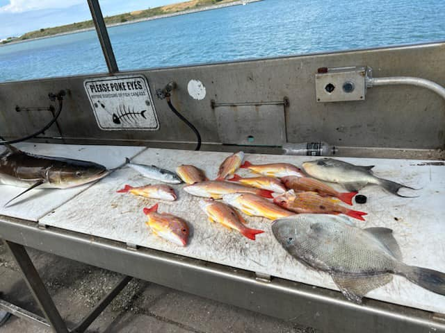 Four fish caught at Port Canaveral, best fishing ever