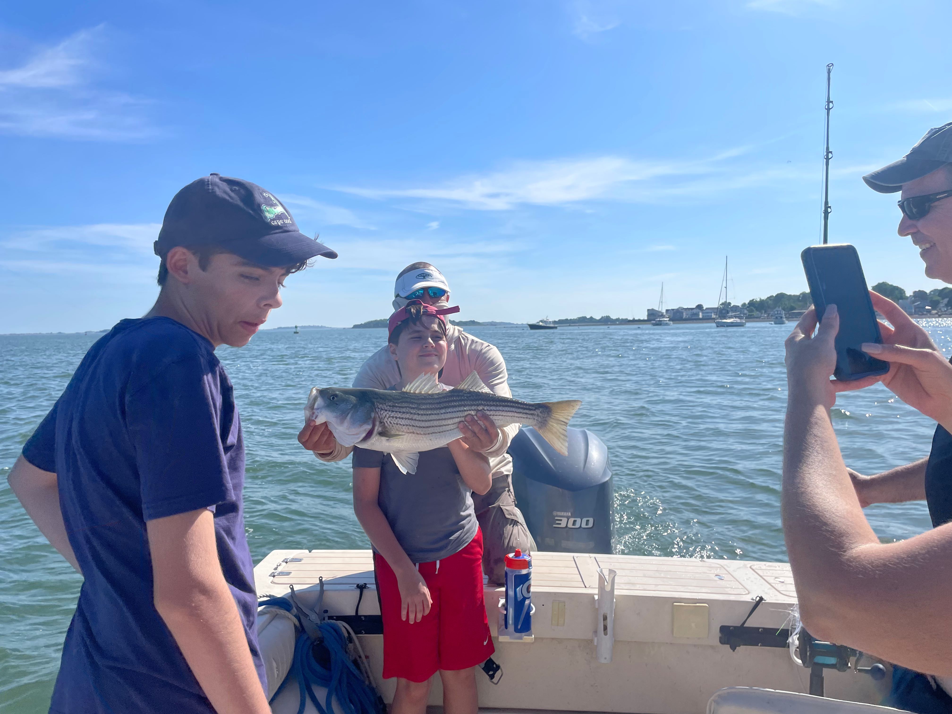 Striped bass catch displayed on fishing boat in Hingham MA waters