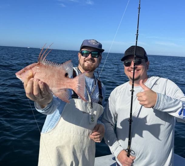 A single hogfish catch at Bradenton Beach